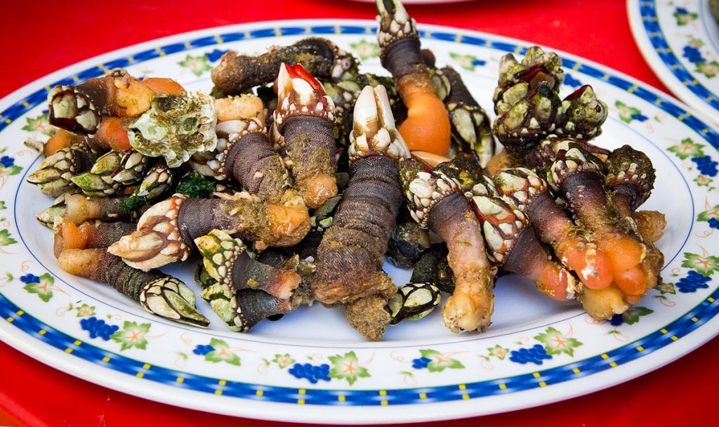 Кухня Галисии